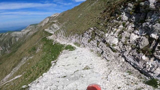 один на 3000 голов овец смотреть онлайн