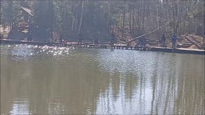 Обеденный клёв форели. Клёвое место, Лосиный остров, спорт-зона.