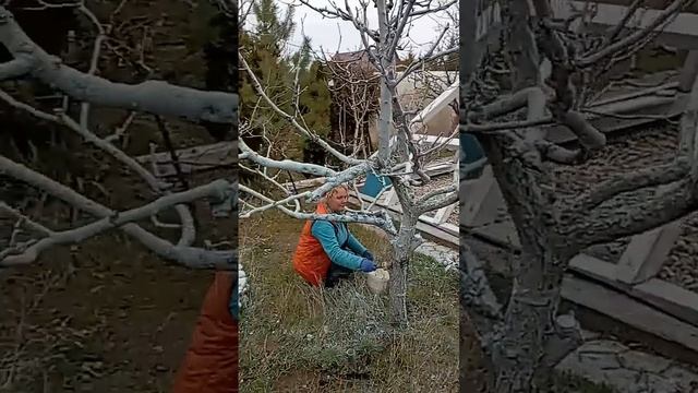 Воскресник в Универсолисе 23.03. Одесса. Мир Универсологии