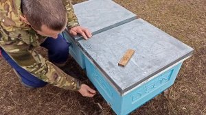 Весенняя обработа пчелосемей от клеща (пробная).