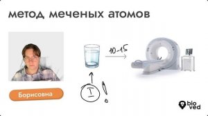 Метод меченых атомов | ЕГЭ по биологии | биовед
