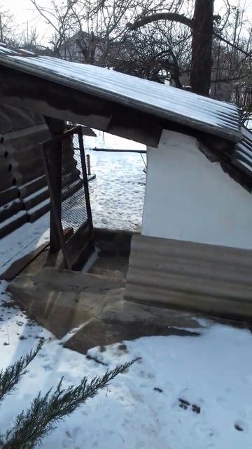 Голодный,холодный,но горячий внутри,я бегу тебе на встречу,моя зеленоглазая красавица...надо ✂ 🔔🔔-к смотреть онлайн