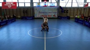 фьюжн Лен обл 2025