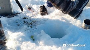 таёжное озеро севера Забайкалья .окуньки на мормышку щючка на жэрличьку.