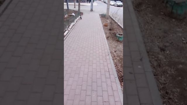 Прямая трансляция fishing и мы !