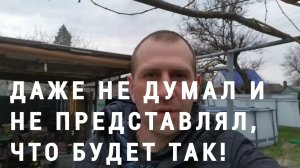 Переезд на ЮГ. Из города в станицу. Наш участок спустя почти два года.