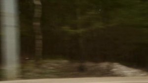 Audi RS6 C8 MTM by Audi Family