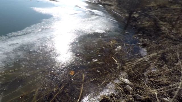 ЗАРЫБЛЕНИЕ ВОДОЁМА | ОТПУСТИЛ КАРАСЯ (ЖИВЦА) В ОЗЕРО. смотреть онлайн