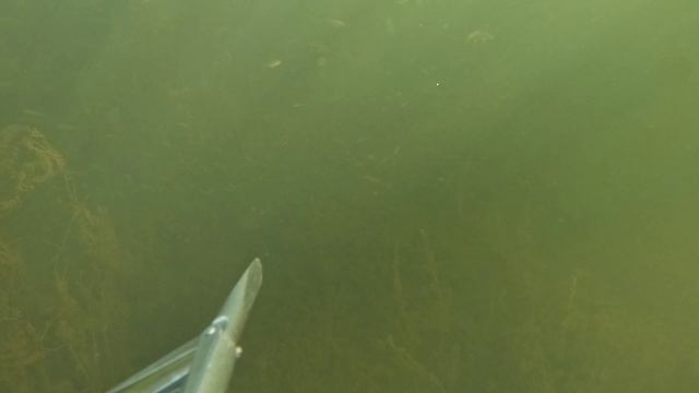 Подводная охота Улагач