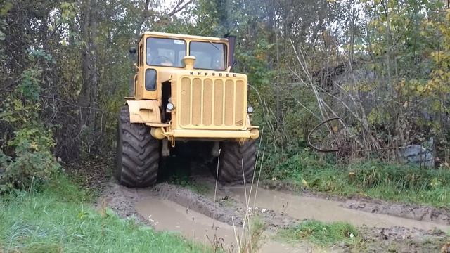 The season is coming смотреть онлайн