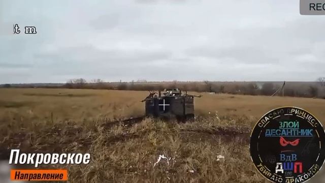 Операторы дронов на из батальона «Спарта» уничтожили на Покровском направлении несколько М113 врага
