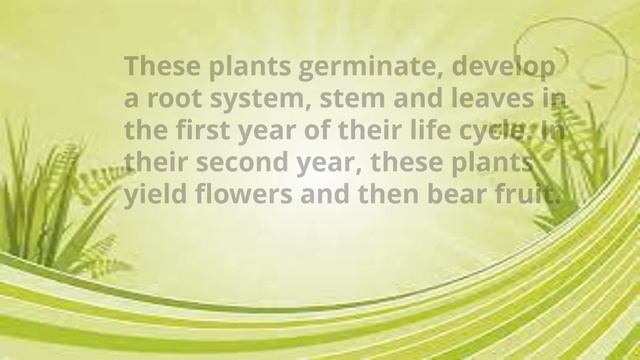 Plant classification based on Life Span | Botany | Plants| Classification |Kids| LifeSpan|Education смотреть онлайн