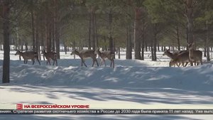 На всероссийском уровне 21.03.2025