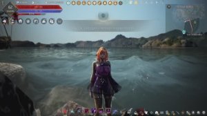Black Desert