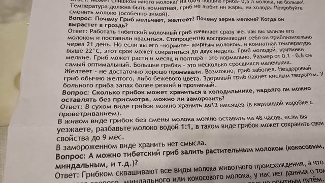 будем выращивать грибы! 11 марта 2022 г.