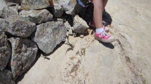 Майорка, остров Драконов. 2014 год.