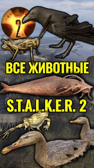 Все Животные в Сталкер 2 ( 20 Обитателей Зоны ) #Shorts