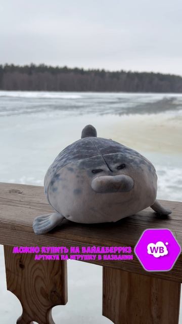 Дружба рыжего Артикул на ВБ: 265571463 #мягкиеигрушки #игрушки #тюлень #юмор #прикол #мем