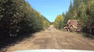 Бабье лето на Северном Урале. Год 2024 Краснодар -Ушма: полет нормальный.