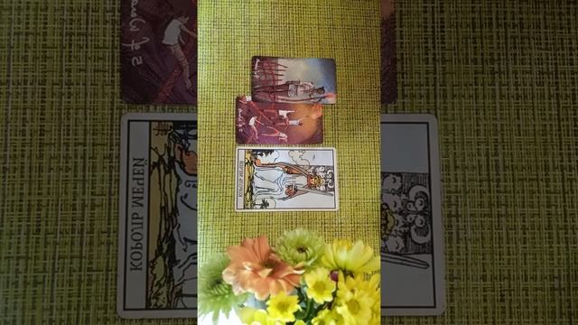 КАРТА ДНЯ НА 13 апреля для стихии огня ОВЕН ЛЕВ СТРЕЛЕЦ смотреть онлайн