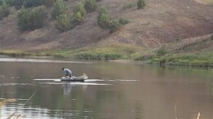 БРАКОНЬЕР обнаглел! Рыбачит на СЕТИ прямо днём! #рыбалка #fishing #браконьеры