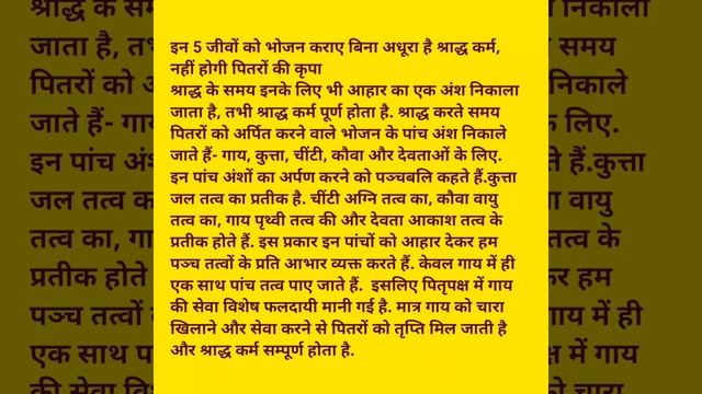 Pitru Paksha 2022: इन 5 जीवों को भोजन कराए बिना अधूरा है श्राद्ध कर्म, नहीं होगी पितरों की कृपा смотреть онлайн