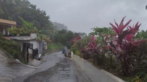 Супер сильный дождь в Индонезийской деревне, хорошо спите под шум дождя