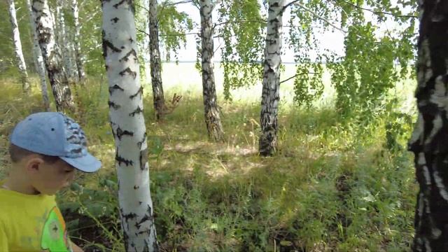 Деревня в глубинке у реки. Собрали большой урожай. Бешенный клев плотвы.