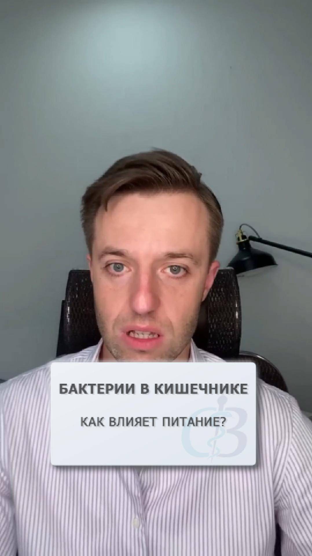 Как питание влияет на бактерии в кишечнике?