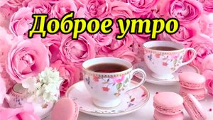 Доброе утро. Хорошего вам дня! Улыбайтесь всем!