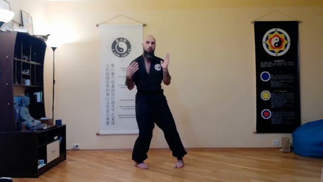 1.ШИ (БАЗОВЫЕ ФОРМЫ). 6.ШОУ ФА (БОЕВЫЕ РУКИ): 2.Блоки (инь) - 1.1.Одиночный блок (половинный укол) смотреть онлайн