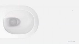 Безободковый унитаз Catalano Newflush