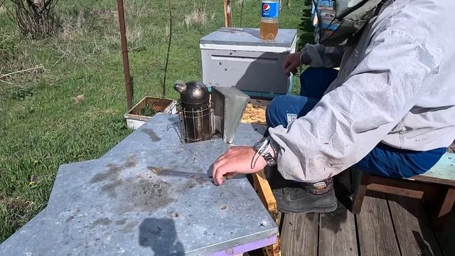 Правильное расширение семей вторым корпусом и вощиной.