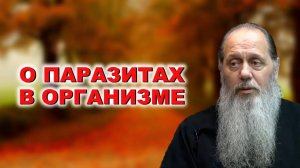 О паразитах в организме