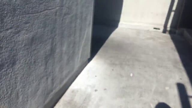 Fuck Me Ron Jeremy смотреть онлайн