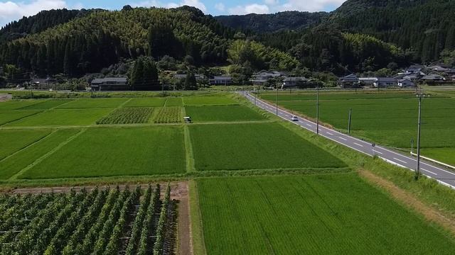 РЕАЛЬНОСТЬ ОТНОШЕНИЙ В ЯПОНИИ! 6 лет замужем за японцем смотреть онлайн