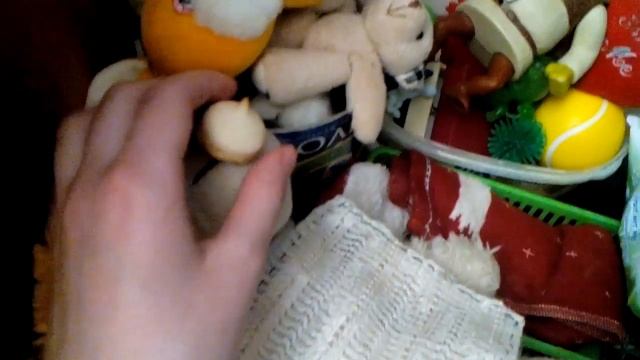 Вечер с Настей . Переодевание + Кормление+Новиночки . смотреть онлайн