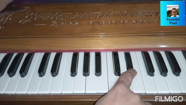 Janam janam janam sath chalna yuhi/Dilwale/Arijit Sing/Harmonium Tutorial
