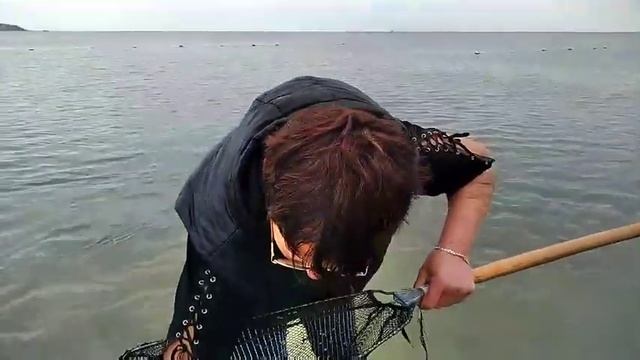 Нашествие бычков и креветок. Коблево2020 смотреть онлайн