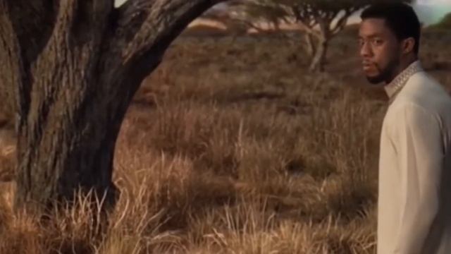 Спи спакойно чёрная пантера😭😭😭 смотреть онлайн