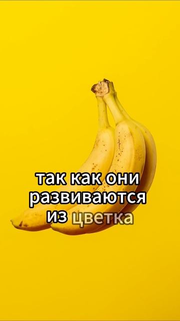 Бананы – ягоды, а клубника – не ягода #shorts смотреть онлайн