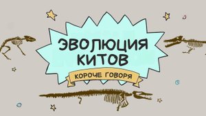 Эволюция китов: веские доказательства в пользу Дарвина? (Короче говоря, эпизод 2)