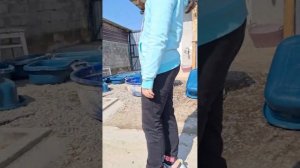Небольшая музыкальная пауза о гостях в приюте Четыре лапы Ташкент 🙏🏻🥰♥️ часть 1