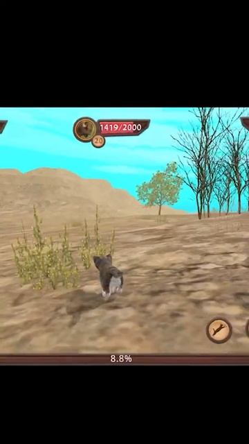 Как найти бизона в Симуляторе Кошки Онлайн / Cat Simulator на Мурландия #shorts смотреть онлайн