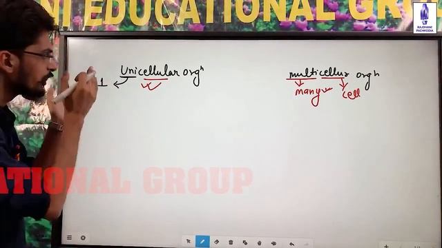 [2] NEET/JET/ICAR/BHU Biology | Animal Diversity (Lect 2) 5-Kingdom Classification System | Rajdhan