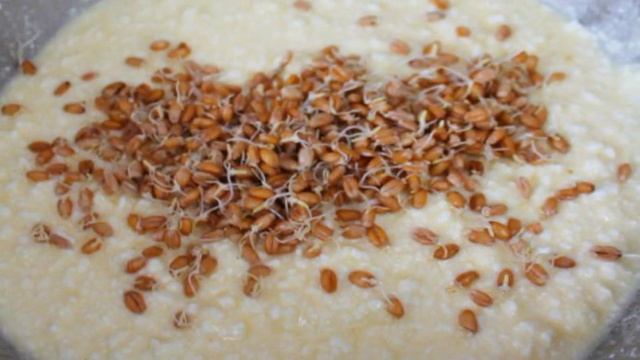 Творожная запеканка со сладкой грушей и пророщенной пшеницей