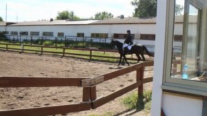 Панфилов Кирилл и Бонни. Езда для молодых лошадей.