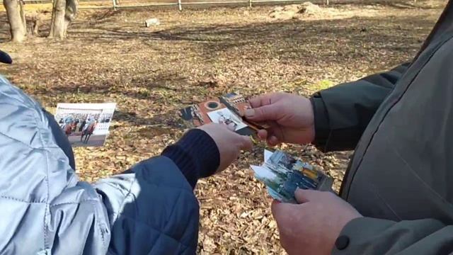 Тайны усадьбы фон Дервиза — квест, где история оживает!