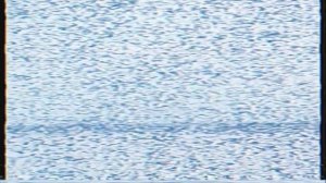 CYGNOSIC - Granted (Official Music Video)