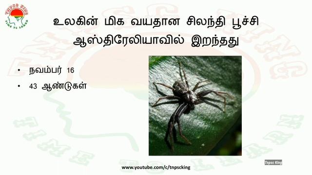 Daily Current Affairs in Tamil - 2nd May 2018 | TNPSC GROUP 2 | ALP | RRB | GROUP D смотреть онлайн